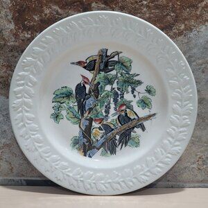 Vintage Adams England Audubon Birds of America Pileated Woodpecker Decorative Pl